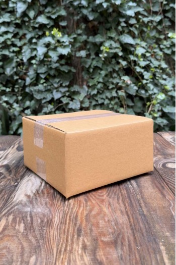 20x20x10cm Kraft Koli 25 Adet