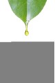 Bodrum Mandalinası Mum Esansı 100ml Bodrum Mandalinası Mum Esansı 100ml