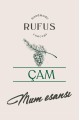 Çam Mum Esansı 250ml Çam Mum Esansı 250ml