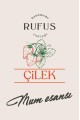 Çilek Mum Esansı 500ml Çilek Mum Esansı 500ml