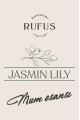 Jasmin Lilly Mum Esansı 100ml