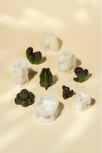 Kaktüs SET 4 Beş Adet Silikon Mum Kalıbı