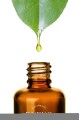 Kiraz Çiçeği Mum Esansı 100ml Kiraz Çiçeği Mum Esansı 100ml