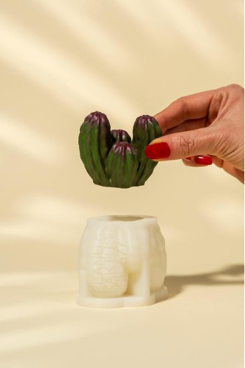 Peanut Kaktüs Silikon Mum Kalıbı