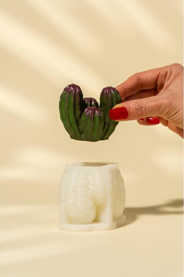 Peanut Kaktüs Silikon Mum Kalıbı Peanut Kaktüs Silikon Mum Kalıbı