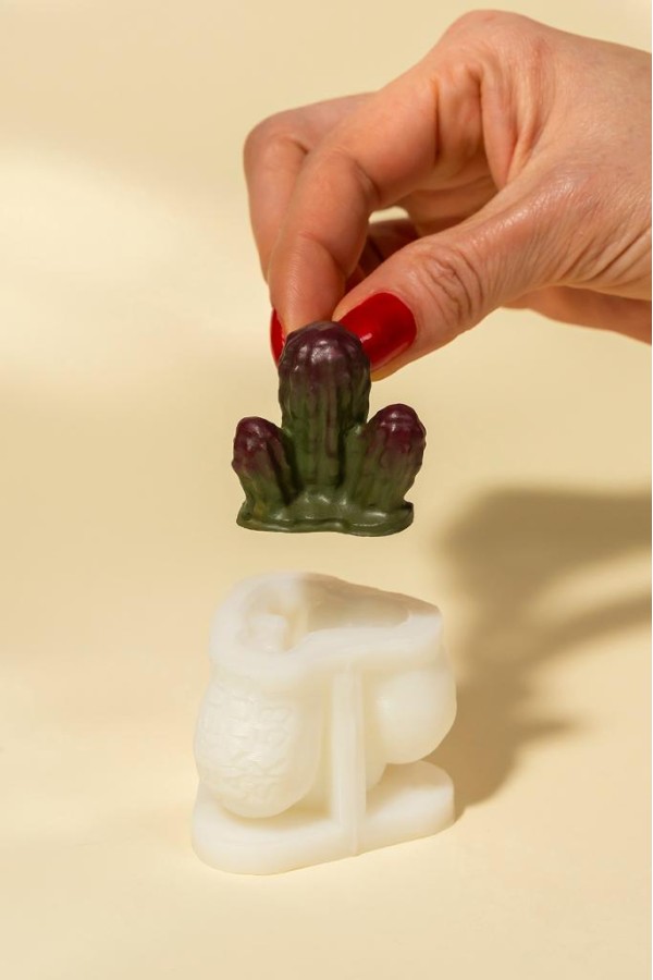 Cereus Kaktüs Silikon Mum Kalıbı