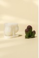 Cereus Kaktüs Silikon Mum Kalıbı