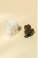 Cereus Kaktüs Silikon Mum Kalıbı