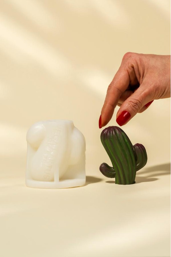 Vega Kaktüs Silikon Mum Kalıbı