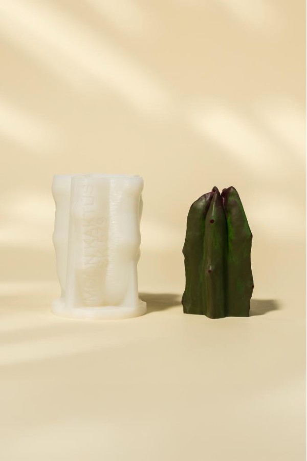 Moon Kaktüs Silikon Mum Kalıbı Moon Kaktüs Silikon Mum Kalıbı