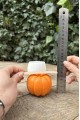 Pumpkin Büyük Boy Mum Kalıbı (Silikon) (1 Adet)