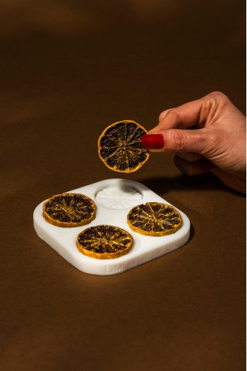 Kurutulmuş Limon Dilimi Dörtlü Silikon Mum Kalıbı