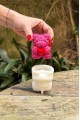 Tedy Bear Gül Dokulu Küçük Silikon Mum Kalıbı Tedy Bear Gül Dokulu Küçük Silikon Mum Kalıbı