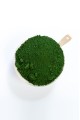 Yeşil Taş Tozu Boyası ( 100 gr )