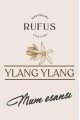 Ylang Ylang Mum Esansı 100ml