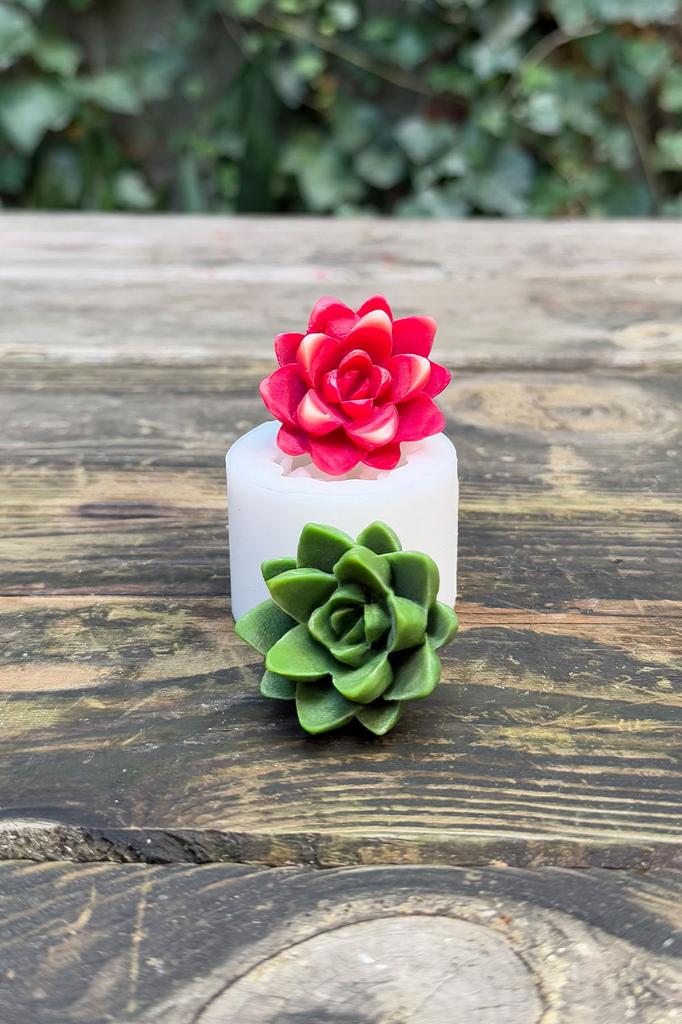 Agavoides Sukulent Silikon Mum Kalıbı