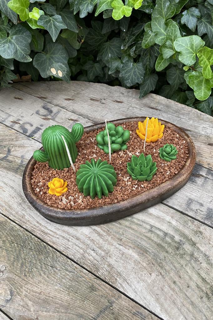 Agavoides Sukulent Silikon Mum Kalıbı