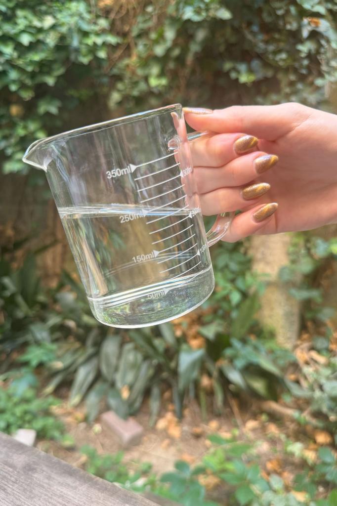 Glas Beher 350ml 8 cm Durchmesser X 10,5 cm H