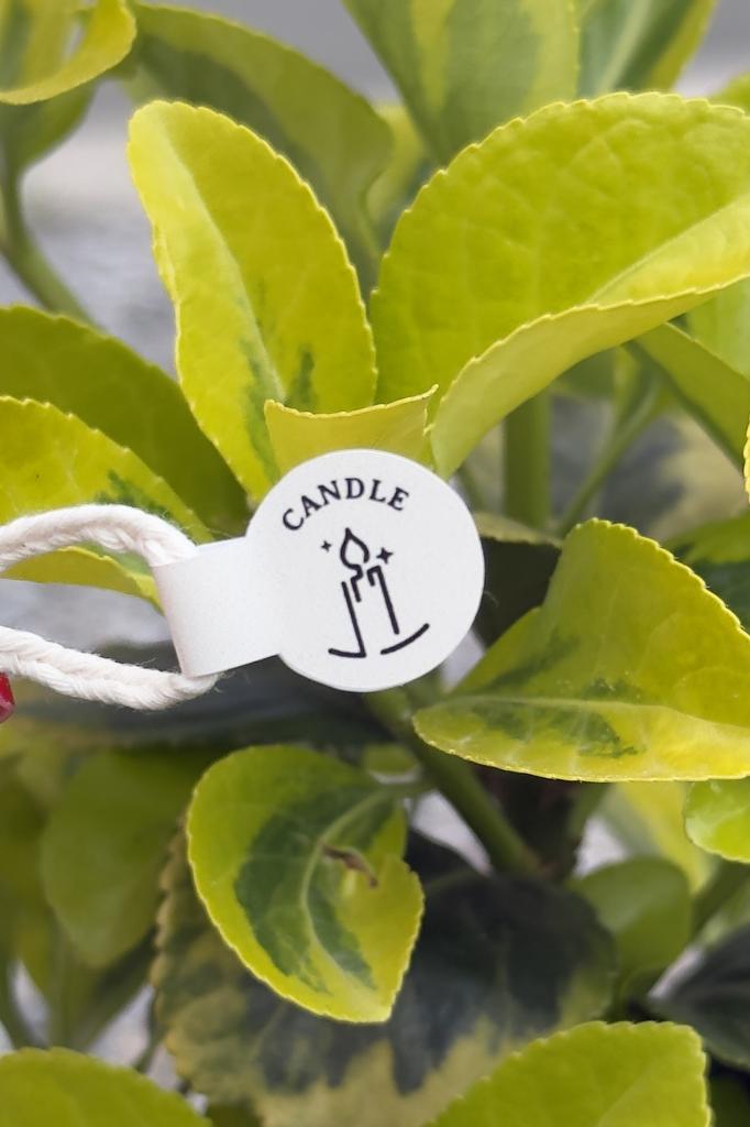 Candle Cream Cotton Wick Label 100 pcs