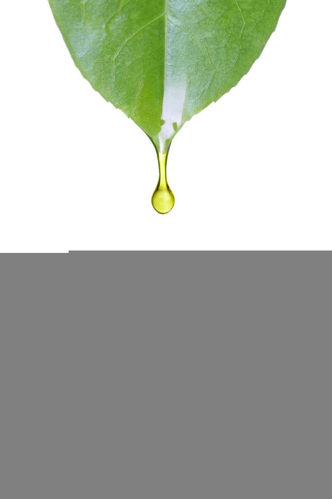Çimen Mum Esansı 250ml