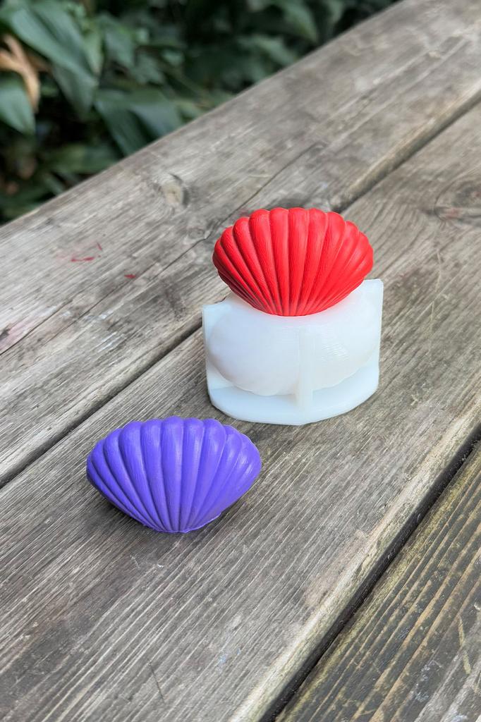 Deniz Kabuğu Küçük 3D Silikon Mum Kalıbı