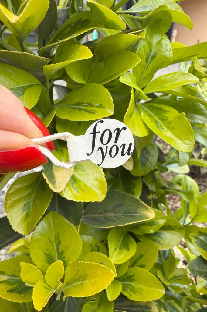 For You Model1 Krem Rengi İp Fitil Etiketi 100 Adet