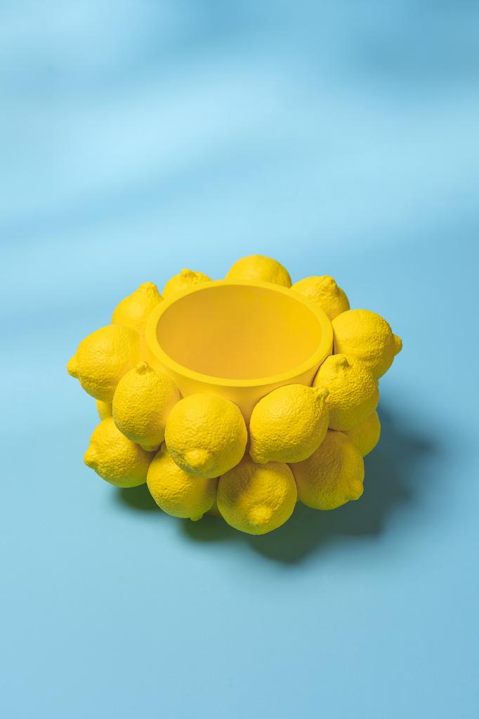 Limon Dikey Silikon Mum Kalıbı