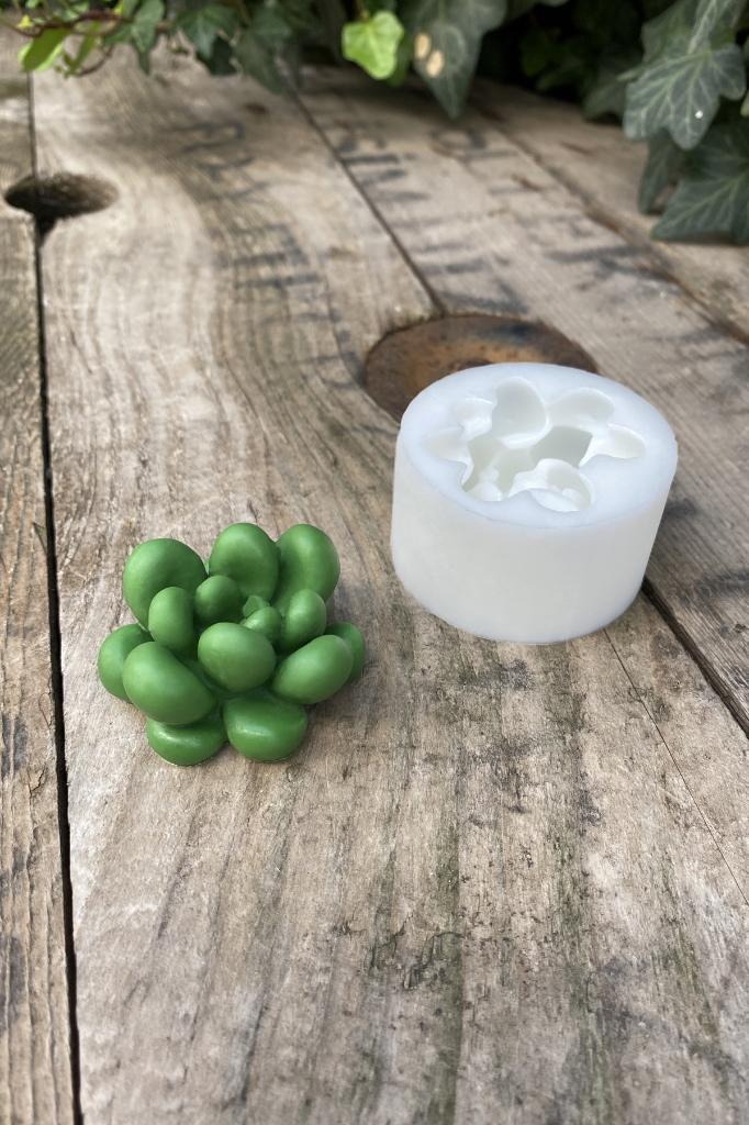 Moonstone Sukulent Silikon Mum Kalıbı