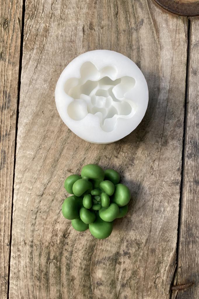 Moonstone Sukulent Silikon Mum Kalıbı
