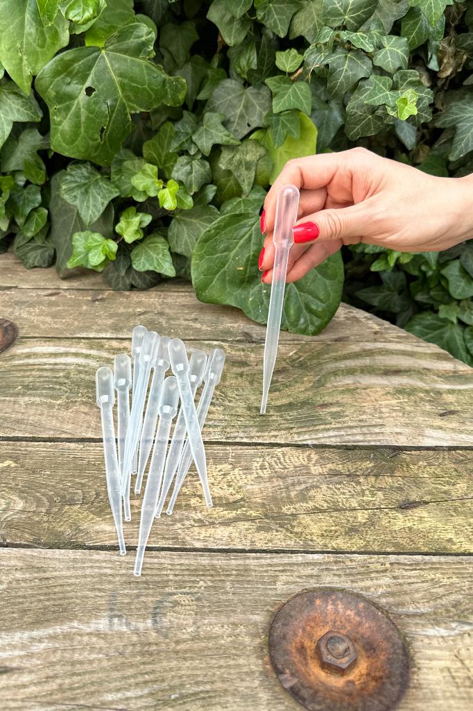 Pastör Pipet (Damlalık) 3 ml (10 Adet)