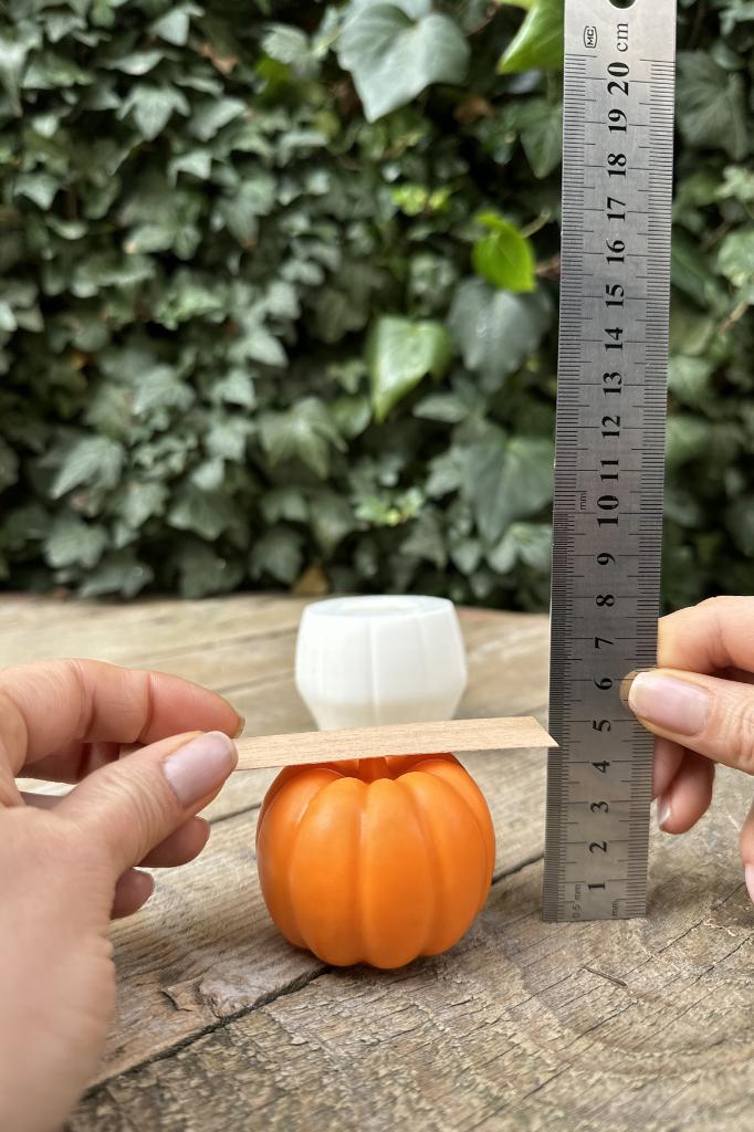 Pumpkin Kabak Orta Silikon Mum Kalıbı
