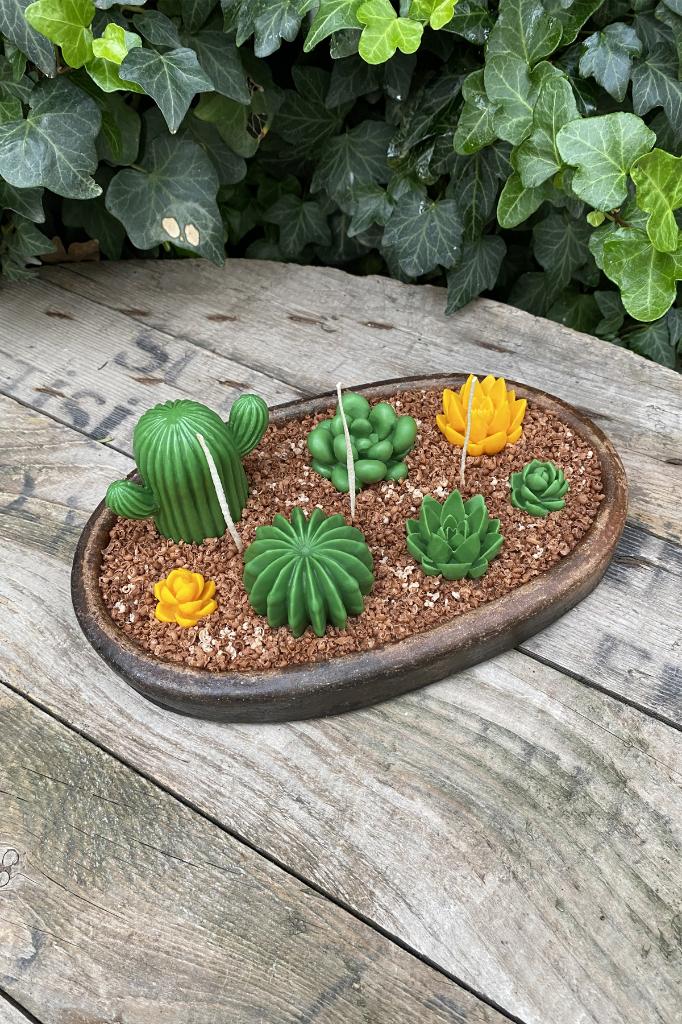 Purpusorum Sukulent Silikon Mum Kalıbı