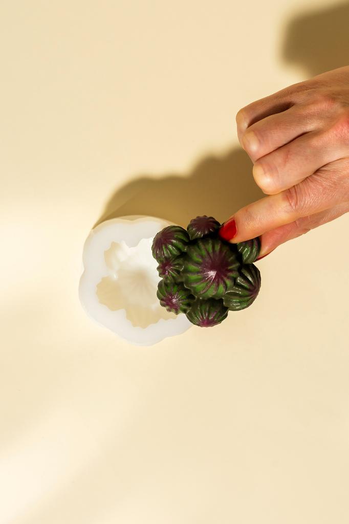 Rebutia Kaktüs Silikon Mum Kalıbı