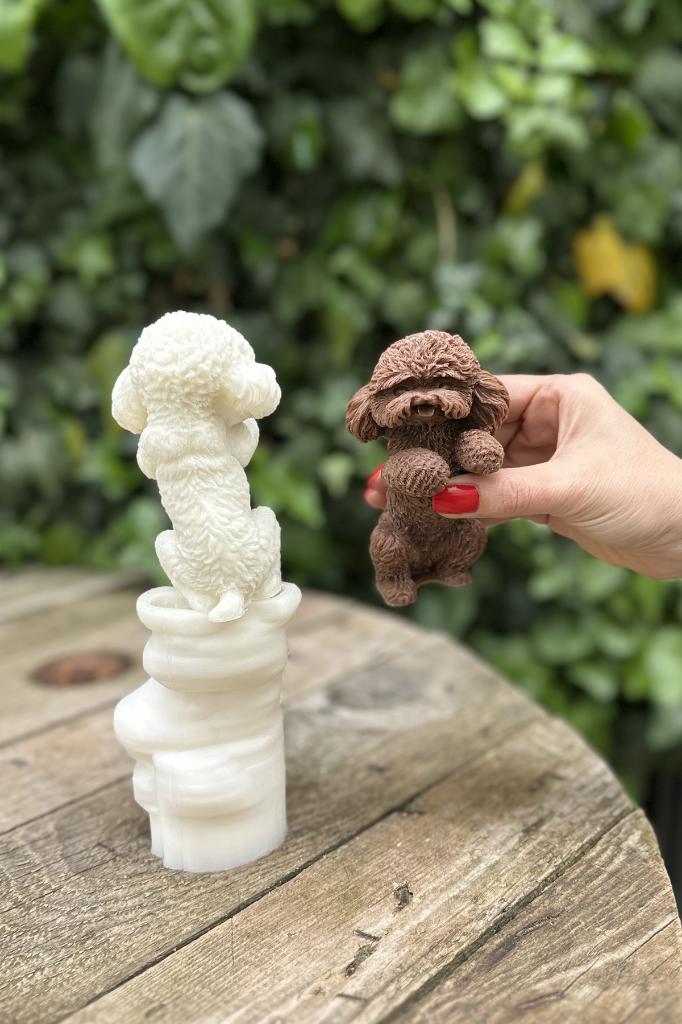 Shih Tzu Köpek Silikon Mum Kalıbı